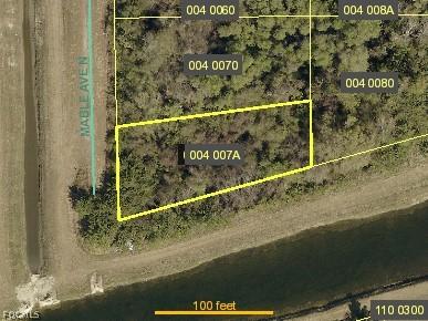 2800 Mable Avenue N Lehigh Acres FL 33971 2026003640 image1