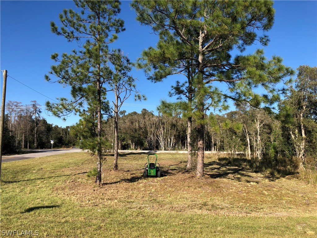 2800 Meadow Road Lehigh Acres FL 33974 223012240 image1