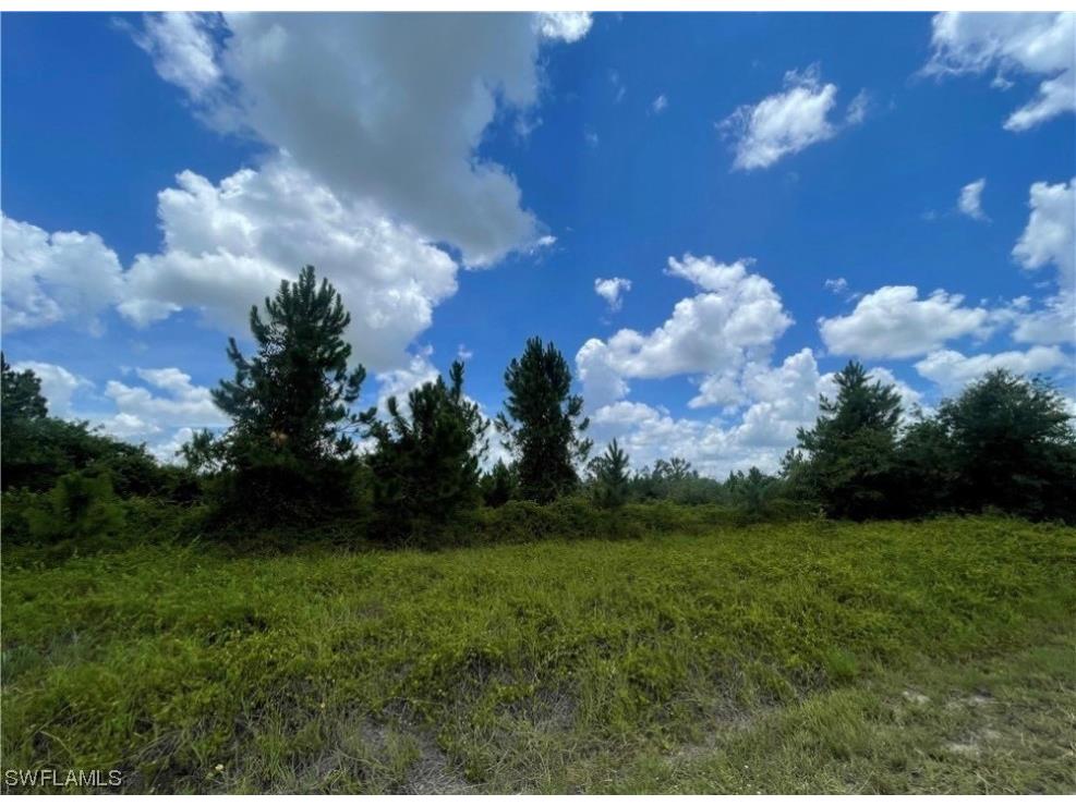 2800 Rita Avenue N Lehigh Acres FL 33971 224016970 image1