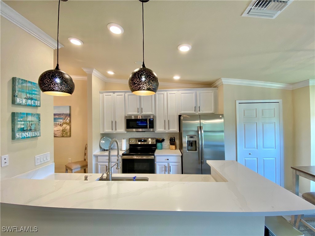 28003 Bridgetown Court #5124 Bonita Springs FL 34135 225070703 image20