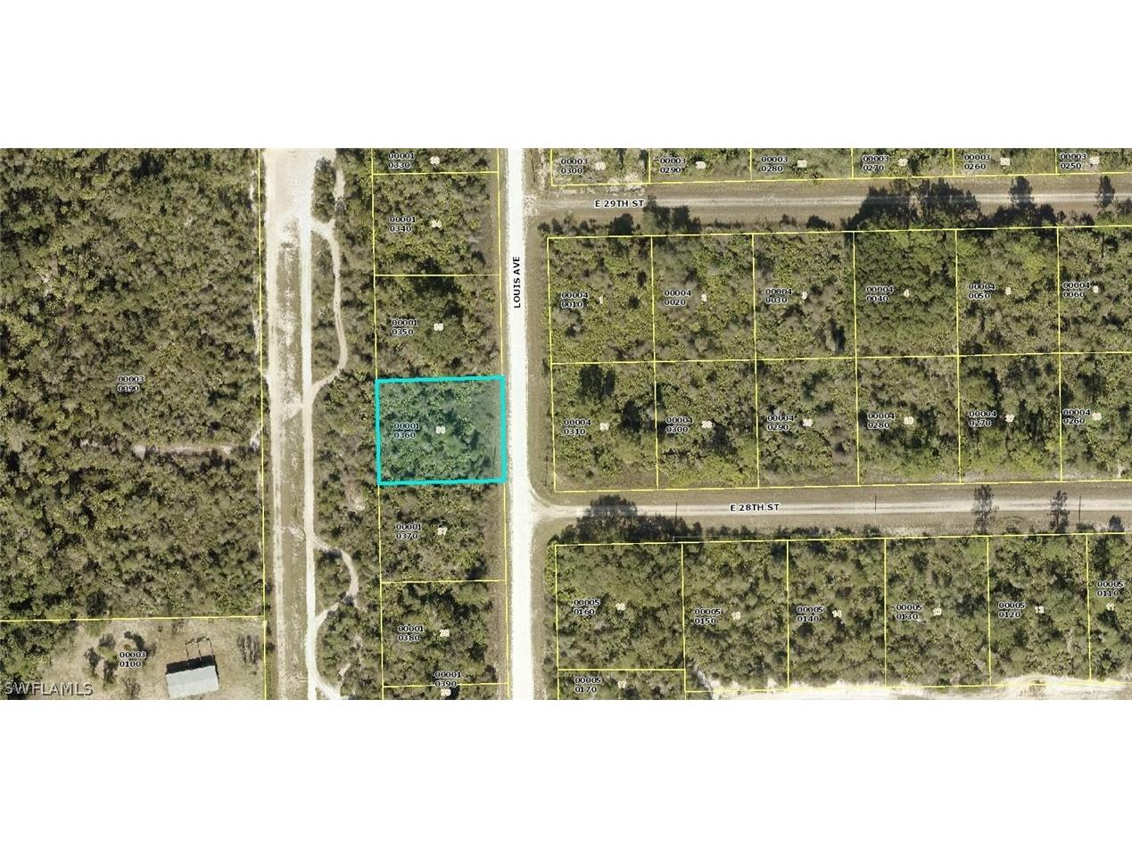 2801 E Louis Avenue Alva FL 33920 222065253 image1