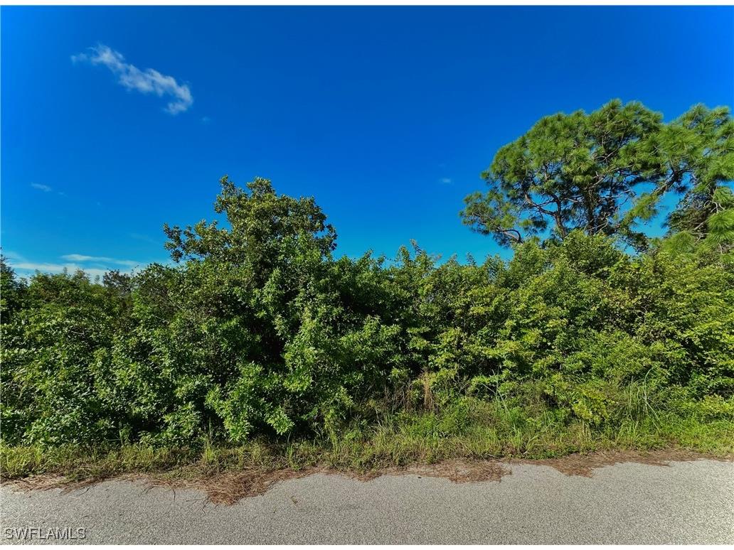 2802 62nd Street W Lehigh Acres FL 33971 223094360 image1