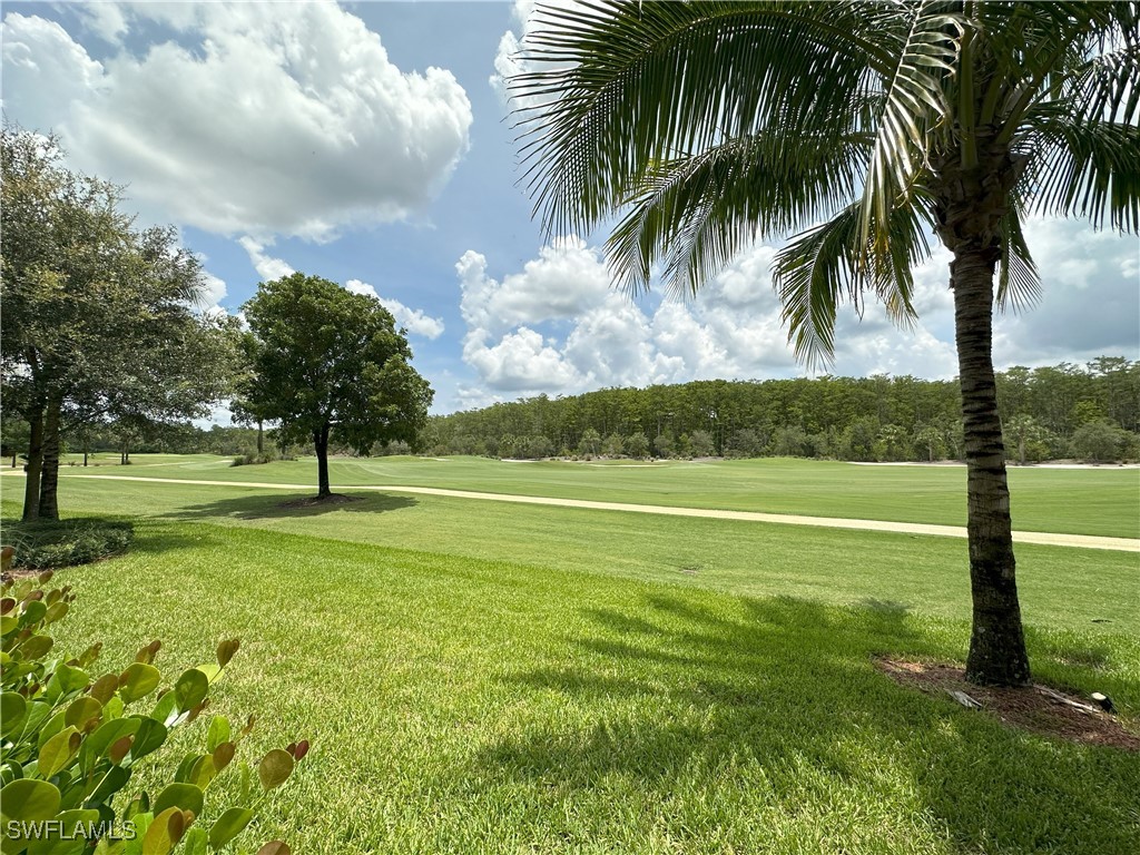 28021 Bridgetown Court #5315 Bonita Springs FL 34135 225064417 image25