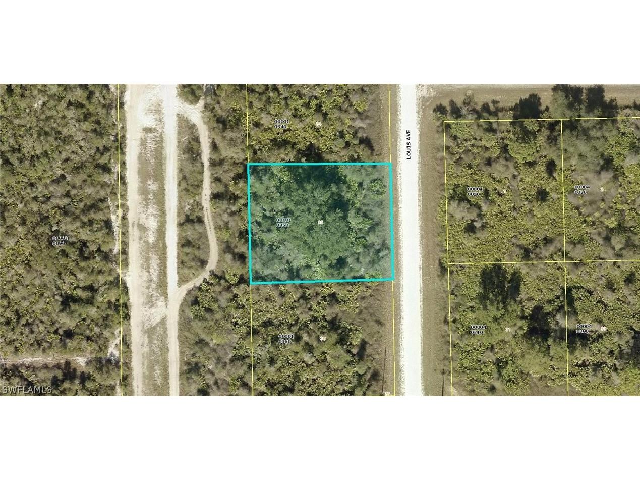 2803 Louis Avenue E Alva FL 33920 222065244 image1