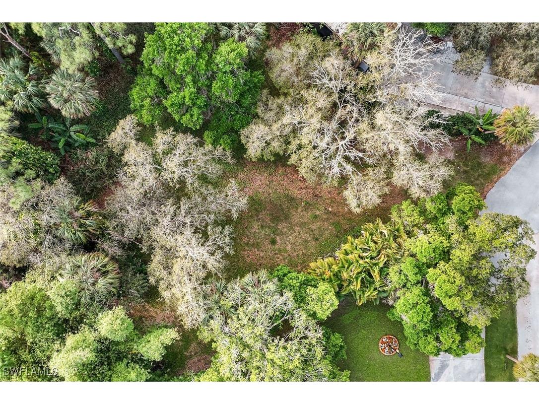 28038 E Brook Circle Bonita Springs FL 34135 226002974 image4