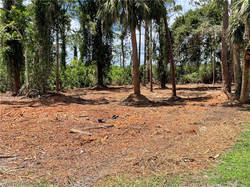 2804 2nd Street SW Lehigh Acres FL 33976 223042171 image1