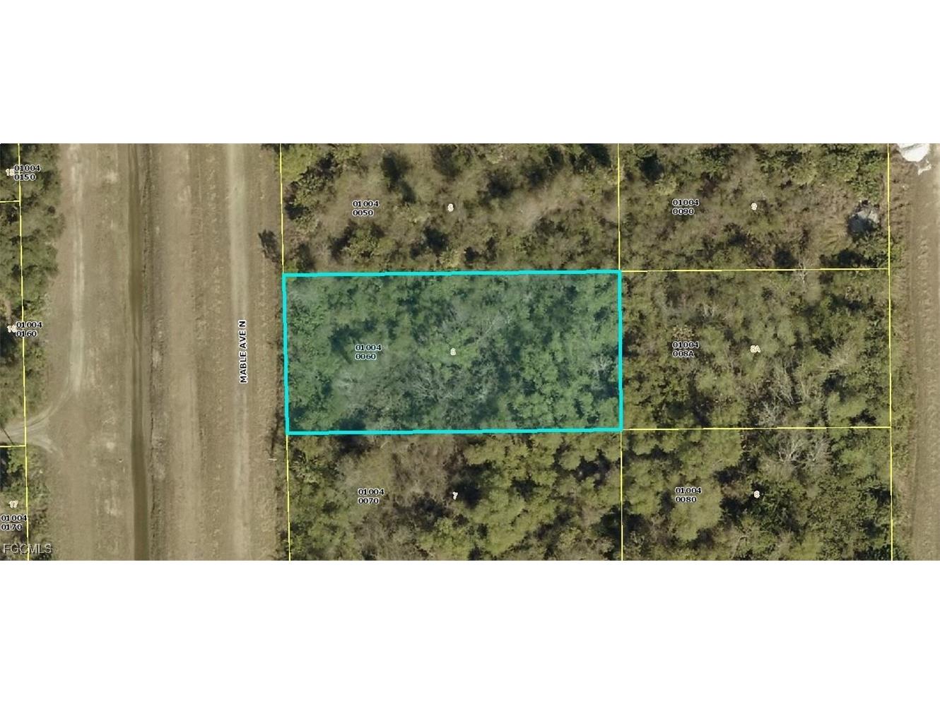 2804 Mable Ave N Lehigh Acres FL 33971 2025011909 image2