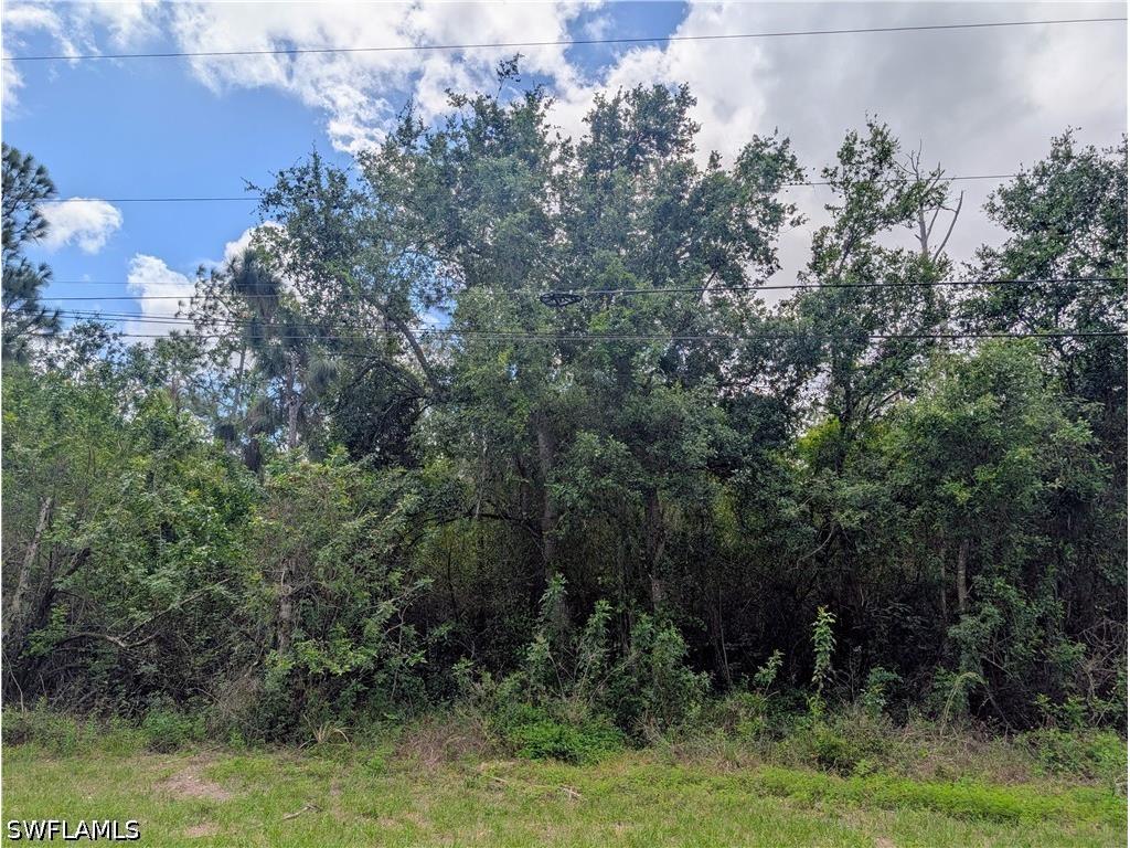 2805 53rd Street SW Lehigh Acres FL 33976 226014883 image5
