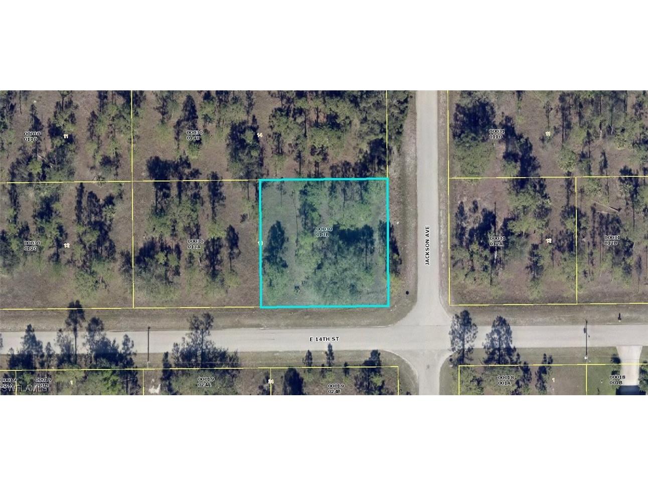 2807 E 14th Street Lehigh Acres FL 33972 223033694 image1