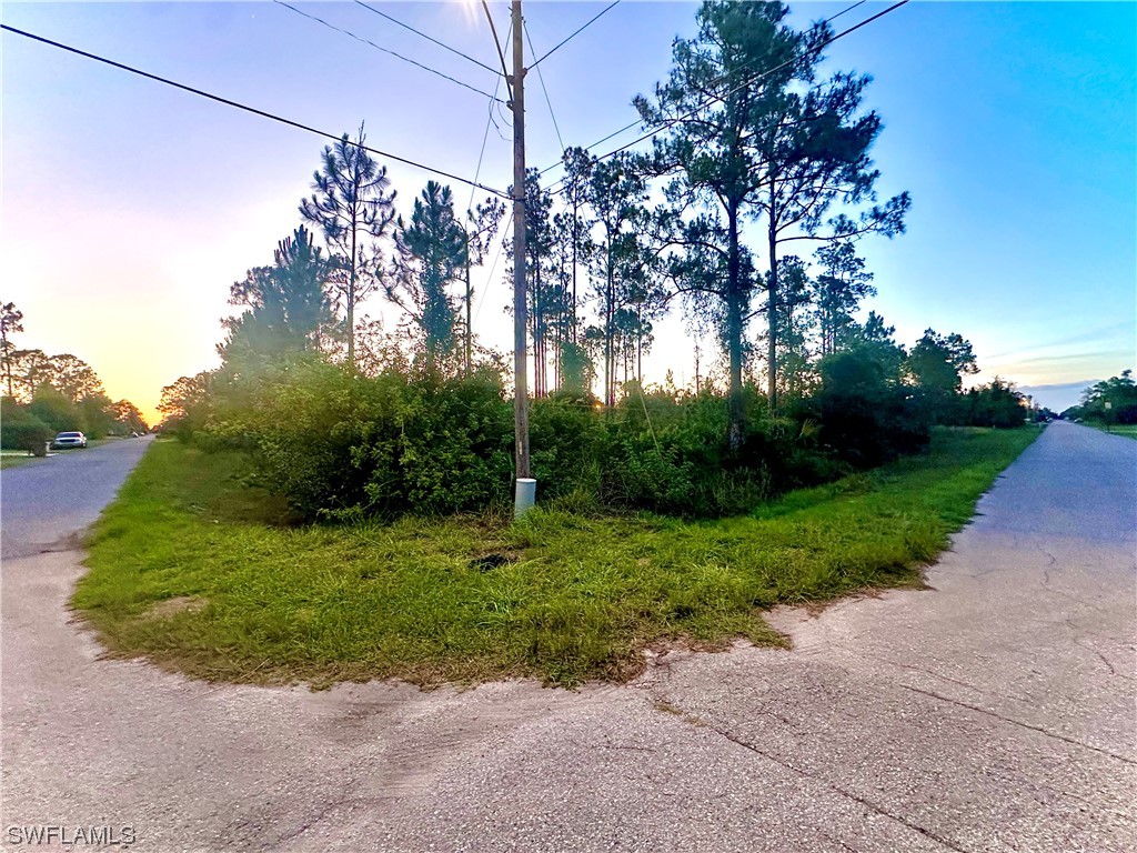 2807 E 9th Street Lehigh Acres FL 33972 223043433 image1