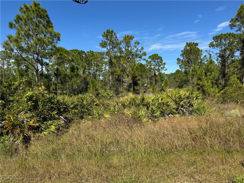 28072 Crestwood Drive Punta Gorda FL 33955 2025018566 image1