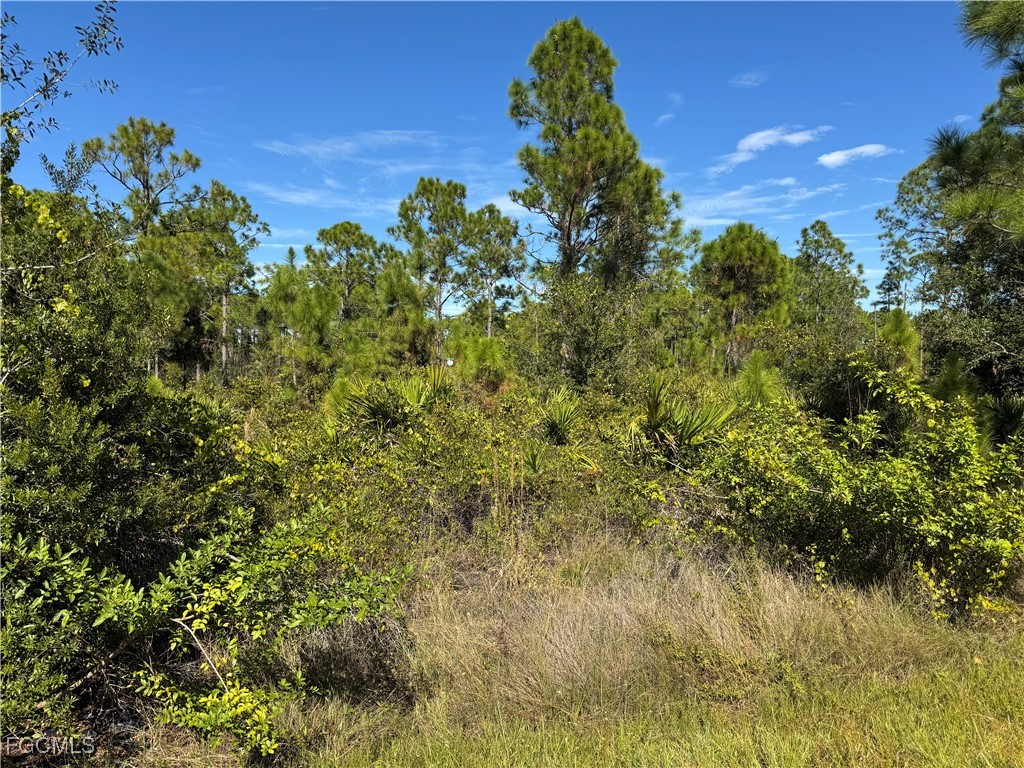 28072 Crestwood Drive Punta Gorda FL 33955 2025018566 image3