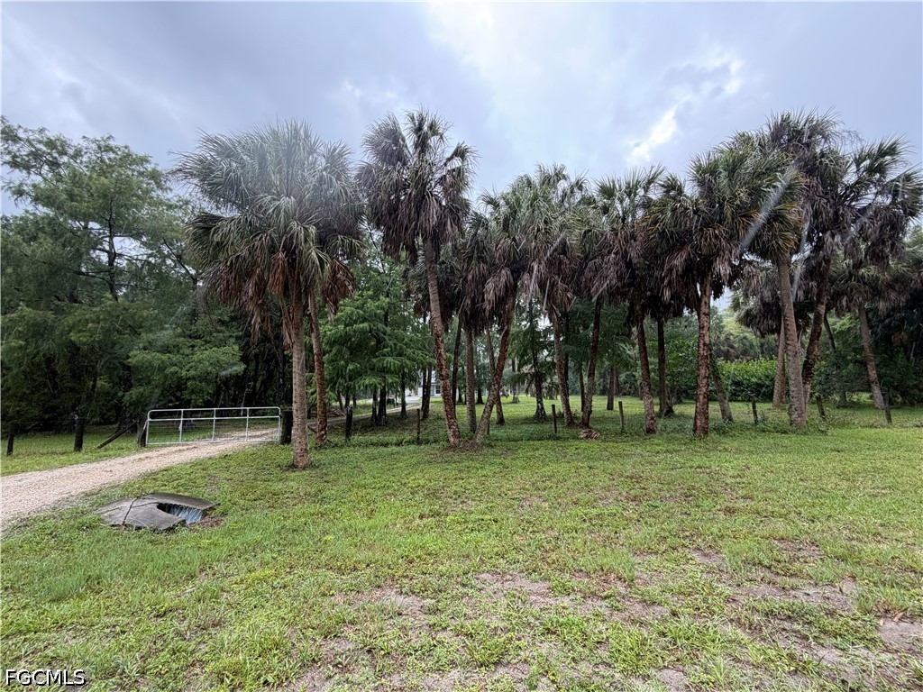 281 8th Street SE Naples FL 34117 2026023045 image3