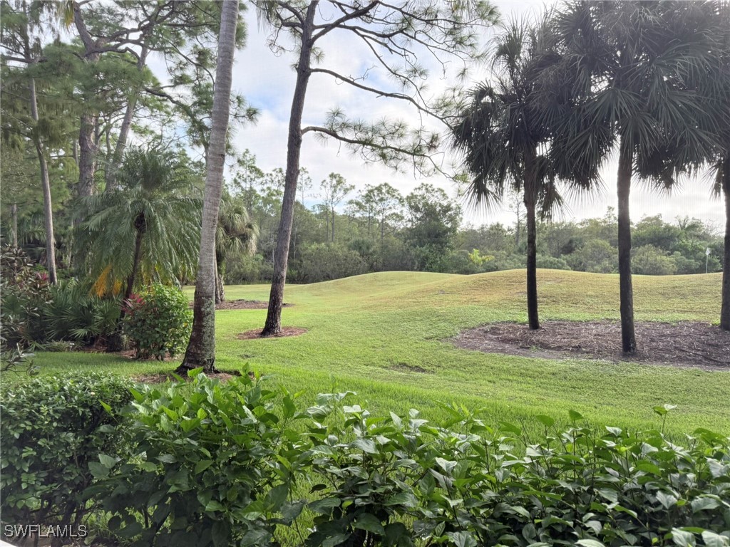 28119 Tamberine Court #1412 Bonita Springs FL 34135 225074533 image38