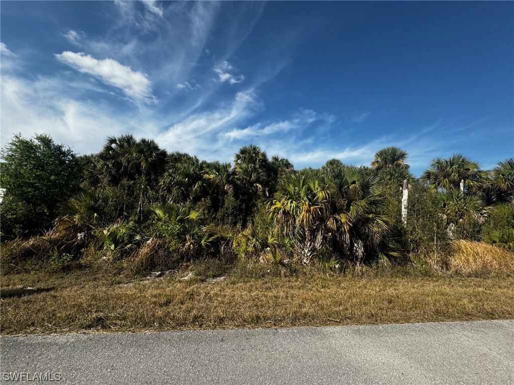 2814 24th Street W Lehigh Acres FL 33971 224018434 image1