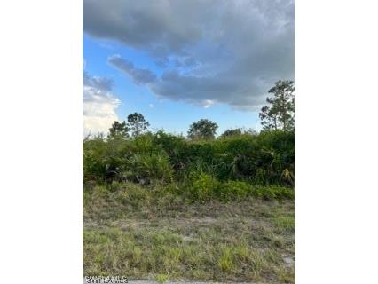 2815 65th Street W Lehigh Acres FL 33971 223030969 image1