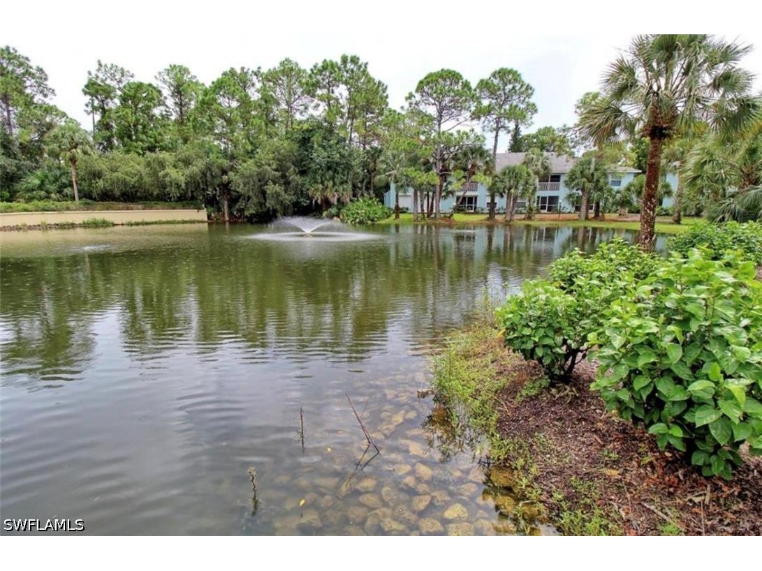 28160 Pine Haven Way #38 Bonita Springs FL 34135 226020499 image28