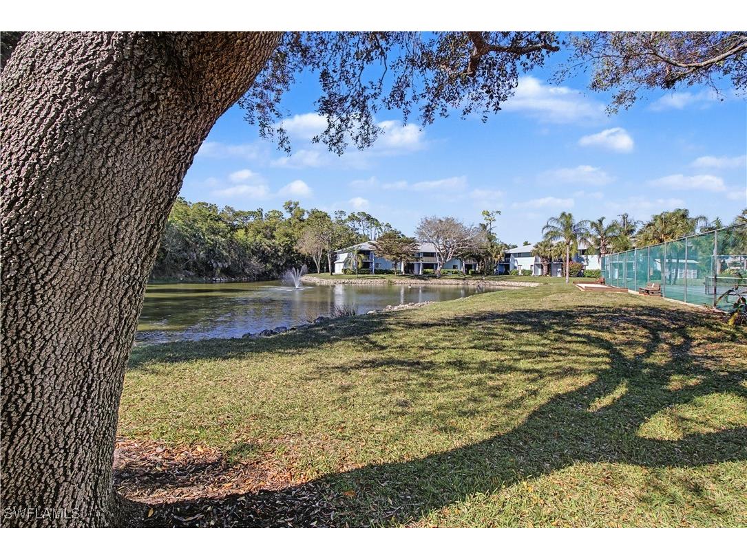 28201 Pine Haven Way #145 Bonita Springs FL 34135 226005273 image17