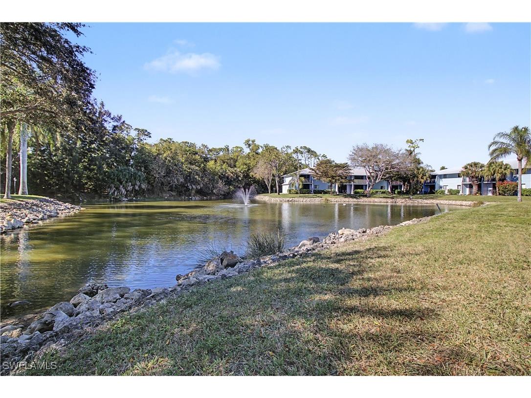 28201 Pine Haven Way #145 Bonita Springs FL 34135 226005273 image19