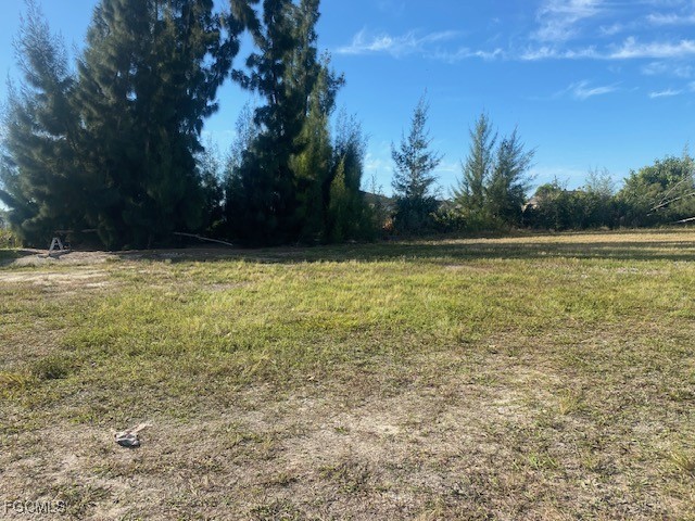 2822 NW 6th Terrace Cape Coral FL 33993 2025021465 image6