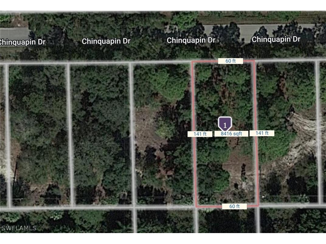 28239 Chinquapin Drive Punta Gorda FL 33955 223008870 image1
