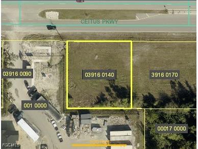 2824 Ceitus Parkway Cape Coral FL 33991 2025022190 image1