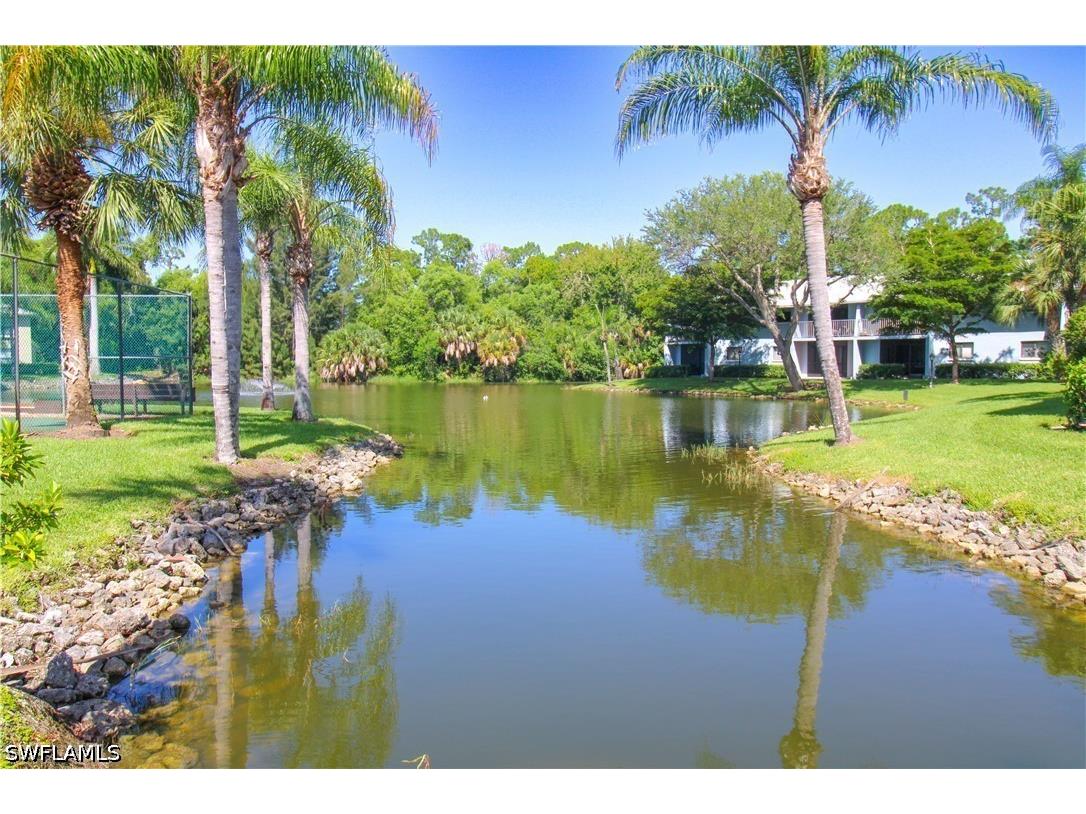 28280 Pine Haven Way #93 Bonita Springs FL 34135 226013555 image41