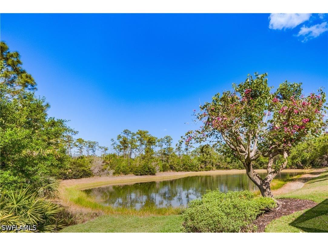 28312 Terrazza Lane Naples FL 34110 226012974 image36