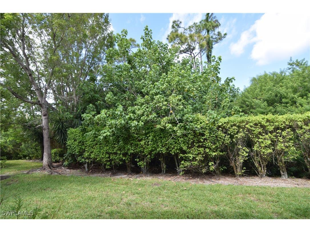 28315 Hidden Lake Drive Bonita Springs FL 34134 225068660 image37