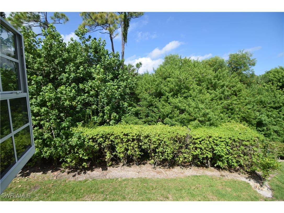 28315 Hidden Lake Drive Bonita Springs FL 34134 225068660 image38