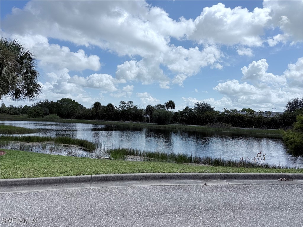 28315 Hidden Lake Drive Bonita Springs FL 34134 225068660 image39