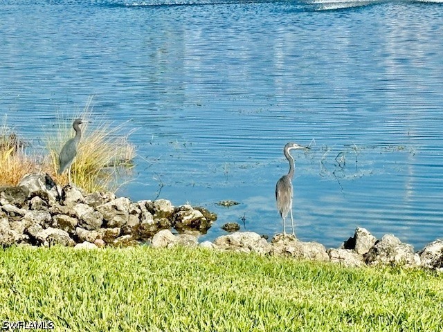 28318 Captiva Shell Loop Bonita Springs FL 34135 226012973 image22