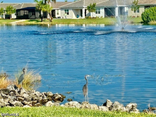 28318 Captiva Shell Loop Bonita Springs FL 34135 226012973 image23