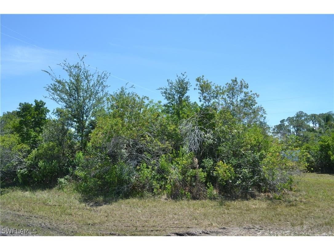 2832 NW 5th Terrace Cape Coral FL 33993 219030947 image1