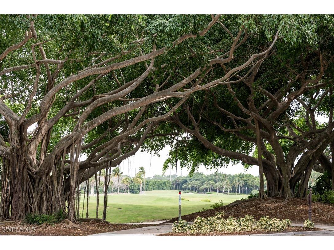 2835 Silverleaf Lane Naples FL 34105 224066423 image35