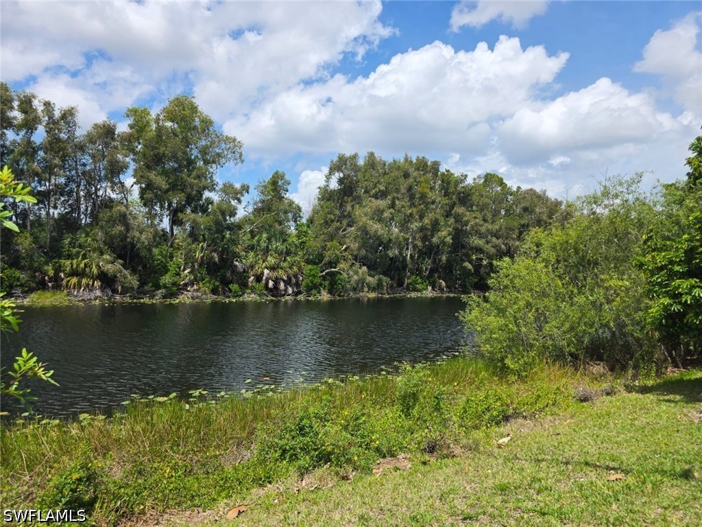 2835 Winkler Avenue #215 Fort Myers FL 33916 226016756 image6