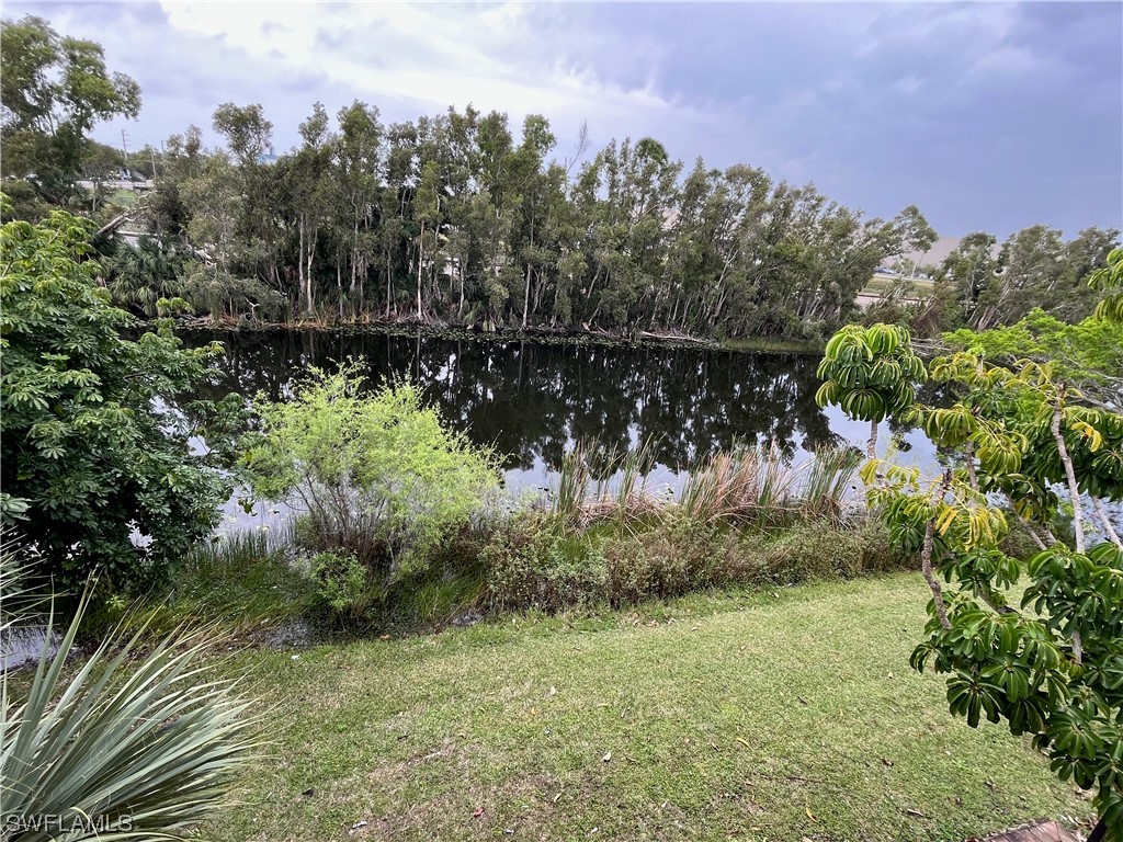 2835 Winkler Avenue #220 Fort Myers FL 33916 224004919 image1