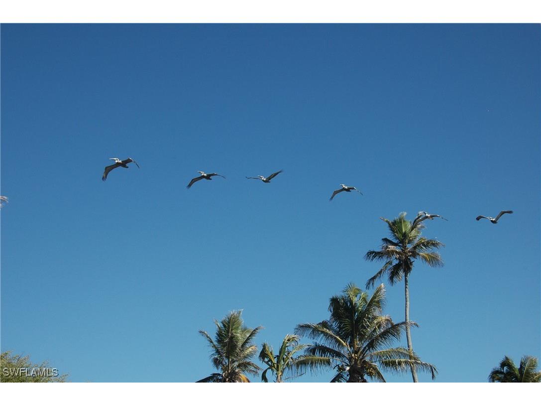 2839 Aintree Lane #B202 Naples FL 34112 225077420 image29