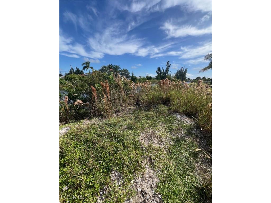 2839 NW 6th Street Cape Coral FL 33993 2025013033 image3