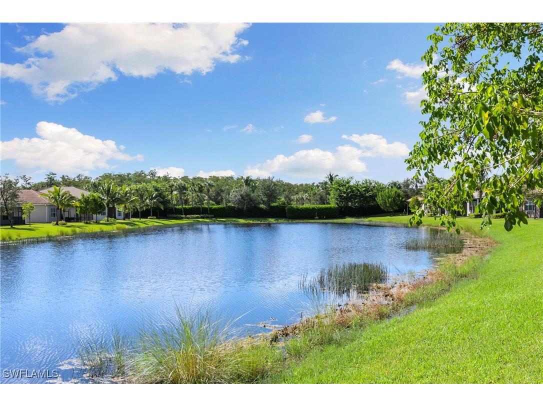 28433 Abruzzo Drive Bonita Springs FL 34135 225068831 image34