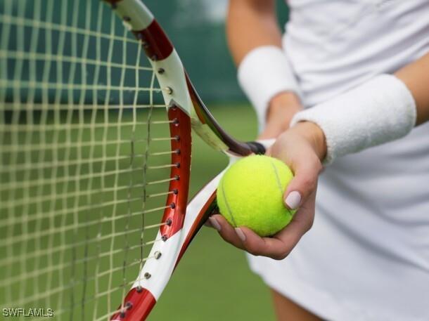 28465 Highgate Drive Bonita Springs FL 34135 225081344 image46