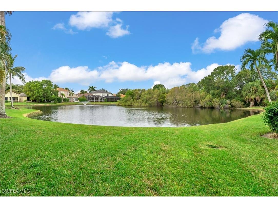 28466 Hidden Lake Drive Bonita Springs FL 34134 225072351 image21