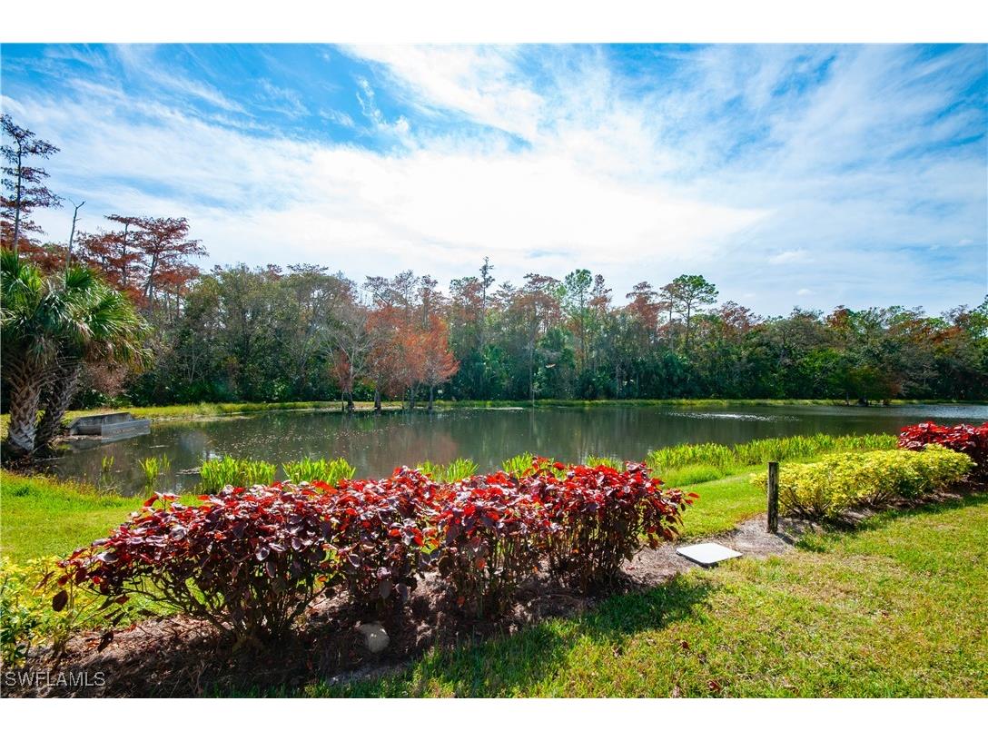 28468 Altessa Way #101 Bonita Springs FL 34135 225073382 image24