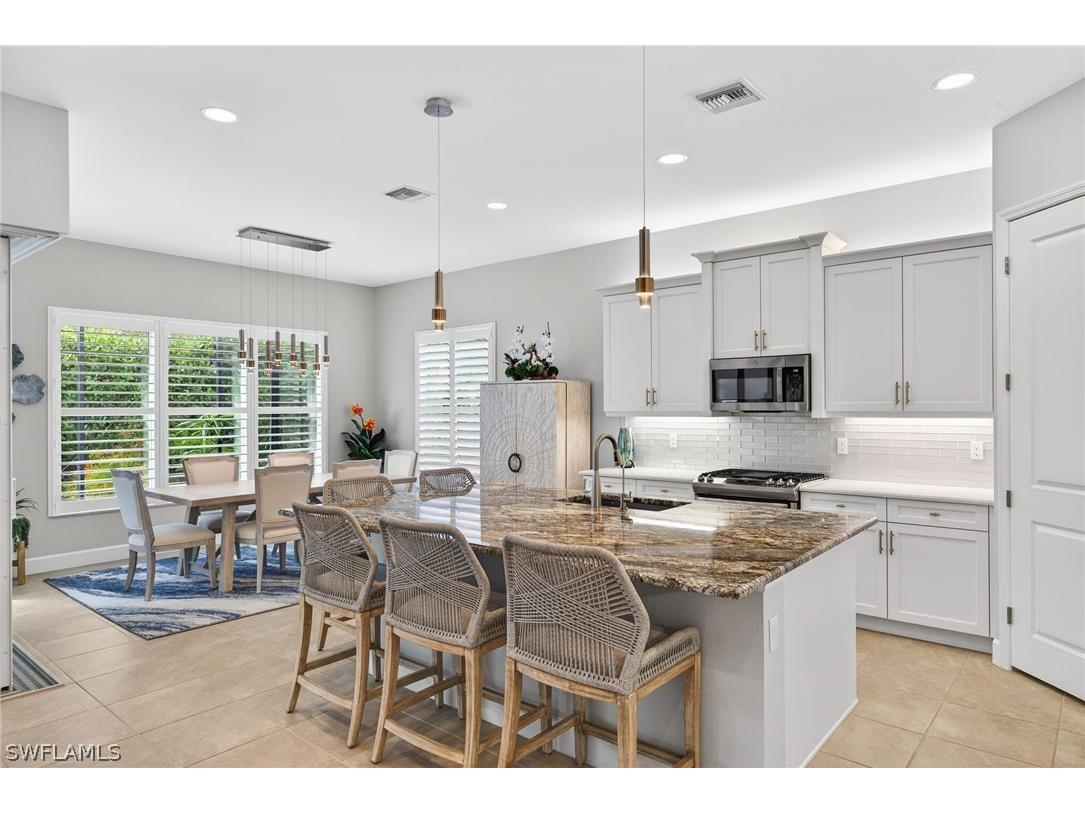28474 Capraia Drive Bonita Springs FL 34135 226010058 image15