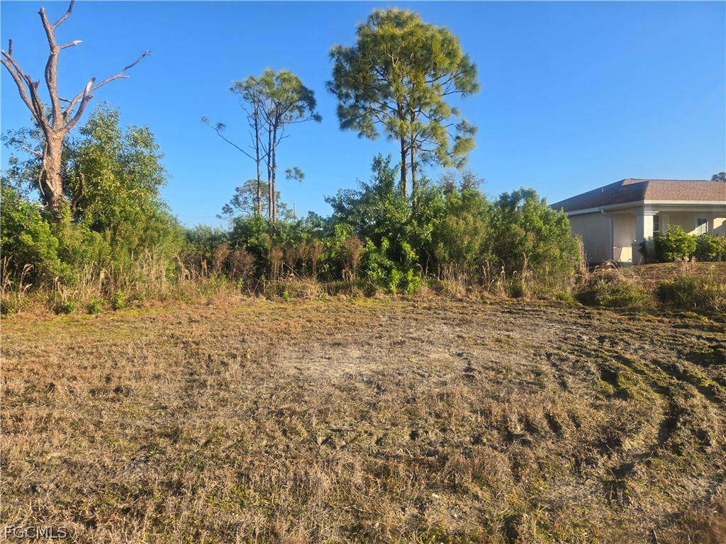 2849 NW 4th Terrace Cape Coral FL 33993 2026007213 image3