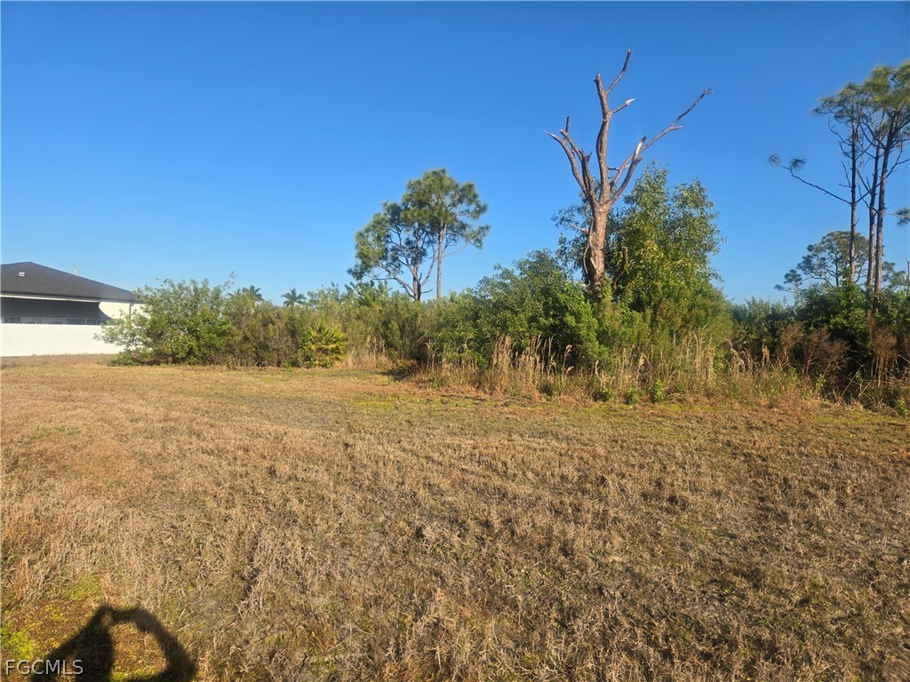 2849 NW 4th Terrace Cape Coral FL 33993 2026007213 image4