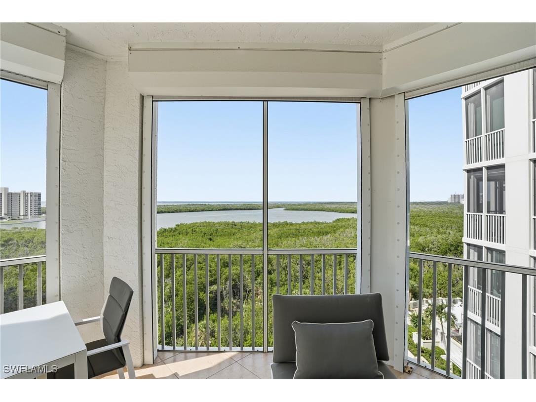 285 Grande Way #801 Naples FL 34110 225076887 image38