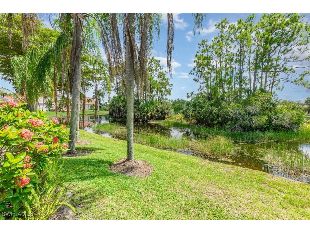 28501 Hidden Lake Drive Bonita Springs FL 34134 225063571 image20