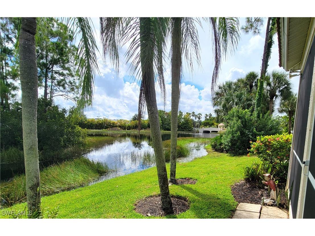 28501 Hidden Lake Drive Bonita Springs FL 34134 225063571 image21