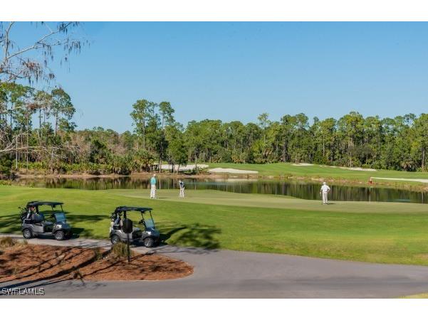 28540 Calabria Court #101 Naples FL 34110 226004624 image40